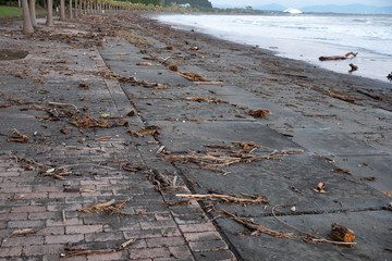台風通過後に青島海岸に打ち上げられた漂着ゴミ24