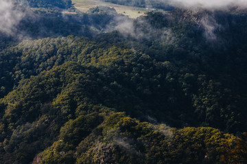 Landscape trees mountain
