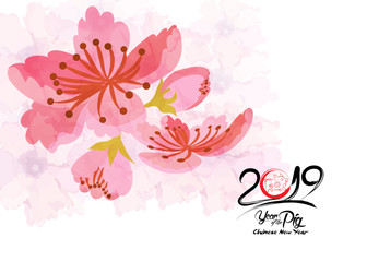 Beautiful cherry blossom background design. Year of the pig