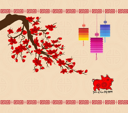 Chinese new year 2019 background with cherry blossom. Year of the pig