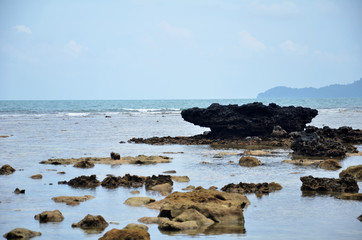 Landscape of rocky beach