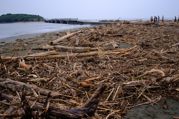 台風通過後に青島海岸に打ち上げられた漂着ゴミ54