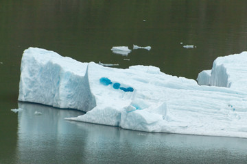 Ice float in Tracy Arm Fjord, Alaska