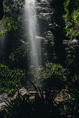 Springbrook Waterfall Hinterland Gold Coast Australia