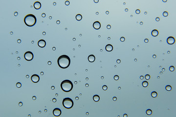 Tut, Tut, Looks Like Rain