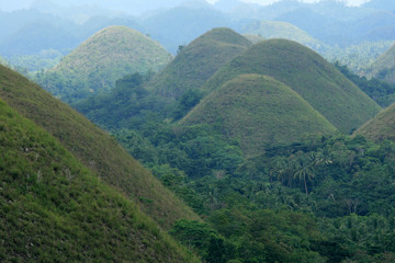 Fototapeta premium Chocolate Mountains - Bohol Island, Philippines