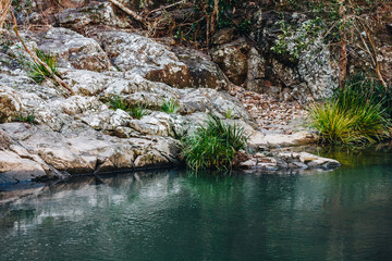 Currumbin Rock pools water stream Gold Coast