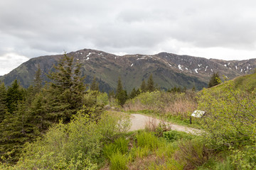 Mountain view from Mt. Roberts, Juneau, Alaska