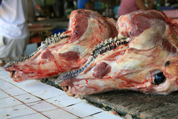 Cow Head