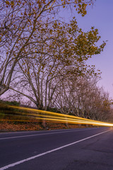 Fototapeta premium Light trails with winter trees in background