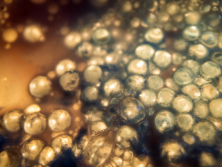 chemical experiment with paints