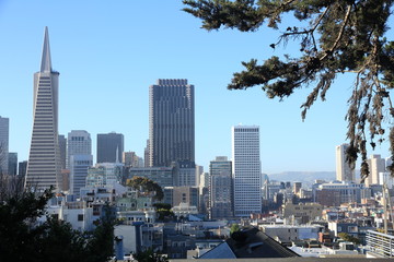Fototapeta premium Morning Skyline View of San Francisco