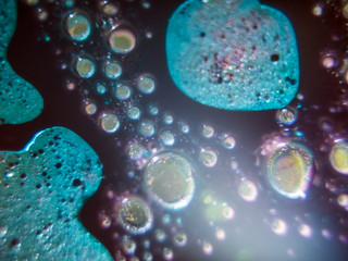 chemical experiment with paints