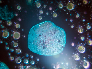 chemical experiment with paints