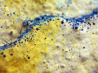 chemical experiment with paints