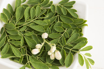 Fresh moringa leaves- Moringa Oleifera
