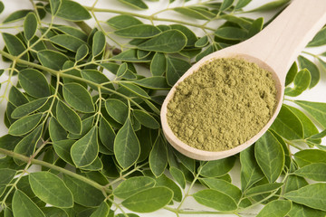 Leaves and dust of Moringa-Moringa Oleifera
