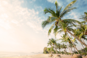 Vintage nature background - Landscape of coconut palm tree on tropical beach in summer. Summer background concept. retro instagram filter effect