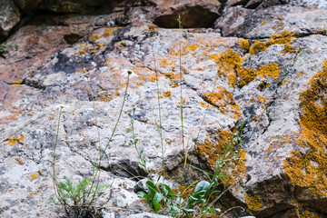 storm, sun, sky, clouds, climbing