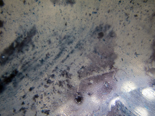 chemical experiment with paints