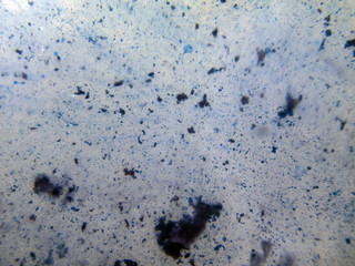 chemical experiment with paints