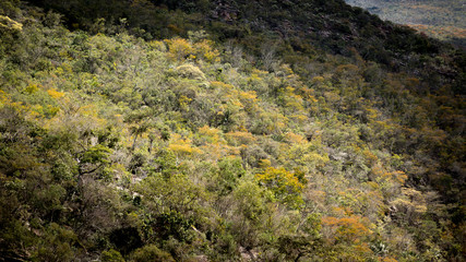 Vila Capao Palmeiras Bahia Brazil 08/14/2015, ecological valley