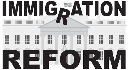 Washington DC White House Immigration Reform vector vector illustration