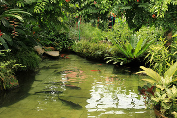 Butterfly Garden - Penang