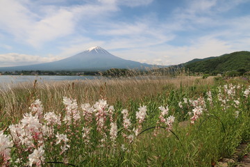 富士山