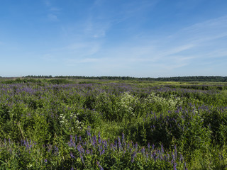 Russia, Moscow region