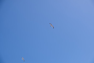 sky
