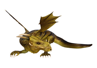 Obraz premium 3D Rendering Fantasy Dragon on White