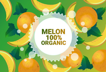 melon fruit colorful circle copy space organic over fresh fruits pattern background healthy lifestyle or diet concept vector illustration