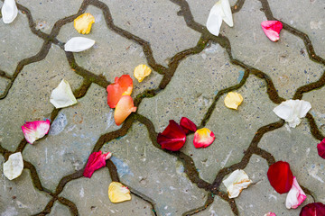 Rose petals on the pavement, lined with patterned tiles, abstract background