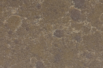 Ordinary brown-grey stony background.