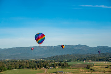 Hot air balloons flying over fields