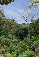 Jungle River and waterfall views from the rural small village road to El Eden by Puerto Vallarta Mexico where movies have been filmed 