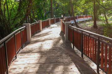 Walk through  the beautiful forests in the walkway.