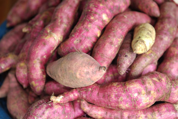 sweet potato