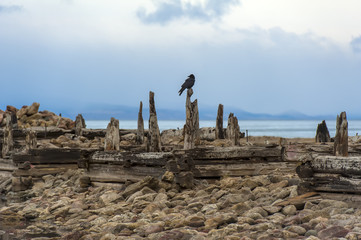 Baikal, Olkhon. Remains of the pier of the fish factory at the Peschanoye tract