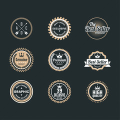 Vintage Retro Vector Logo for banner