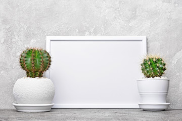Small cacti in flower pots and mock-up of white frame with copy space for poster