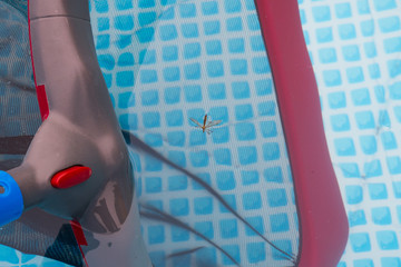 cleaning net in pool