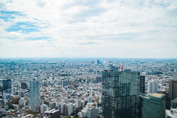 The view of Tokyo, Tokyo, Japan
