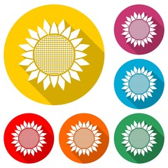 Fototapeta premium Sunflower symbol icon, color icon with long shadow