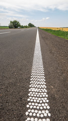 A dirt road leading to a distance between flowering fields