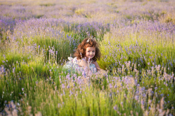 cute little girl with gorgeous hair sitting among lavender flower field summer