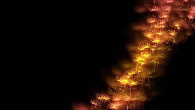 Abstract bokeh light sparkles dandelion or tampopo blow pattern yellow and pink gradient color illustration on dark background, seamless looping animation 4K with left copy space