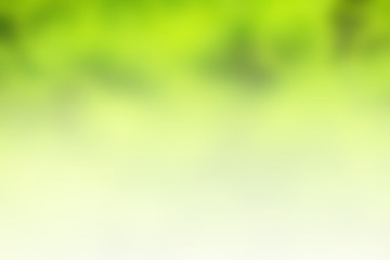 Fototapeta na wymiar Green summer blurred abstract background