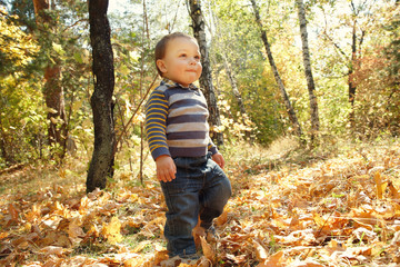 child walking in an autumn park